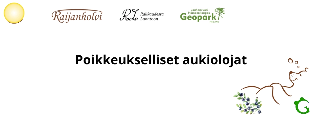 Poikkeukselliset aukioloajat
